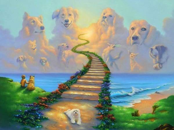 All dogs go to heaven store diamond painting